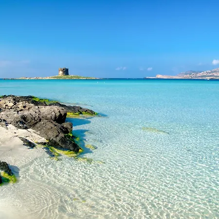 Apartmán Rais 13 By Interhome Stintino